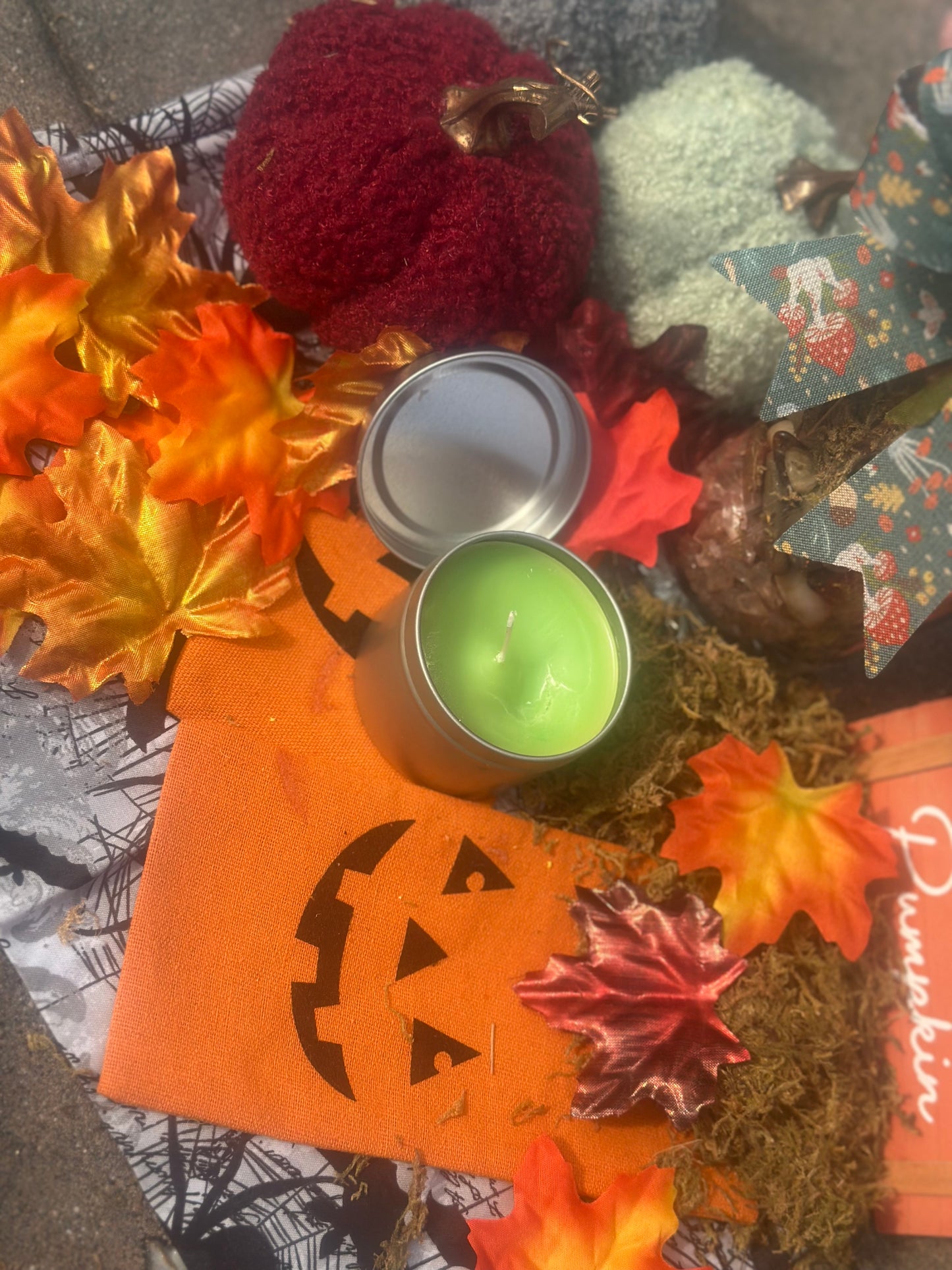 Poison apple-caramel spiced apple scented candle